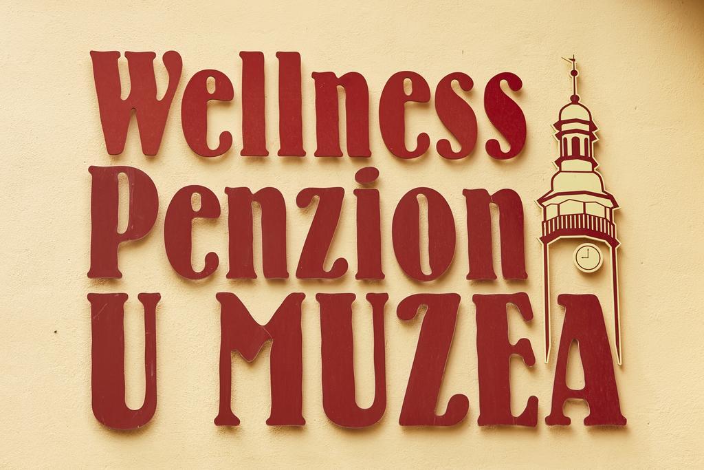 Wellness Penzion U Muzea Liberec Exteriör bild